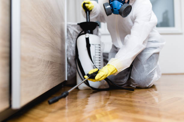 Best Bed Bug Extermination  in East Foothills, CA