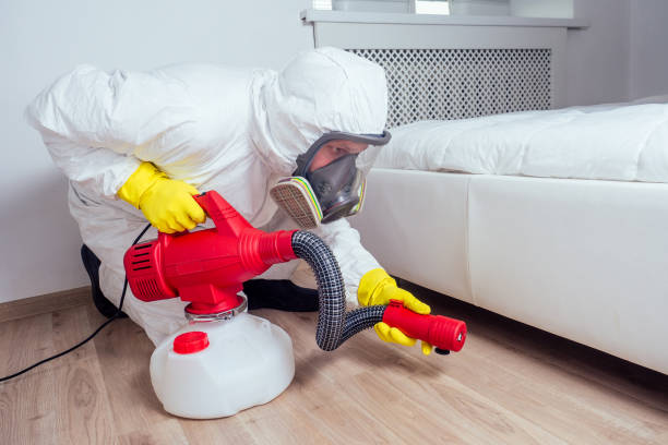 Best Insect Control  in East Foothills, CA