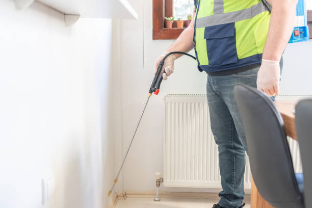 Best Local Pest Control Services  in East Foothills, CA