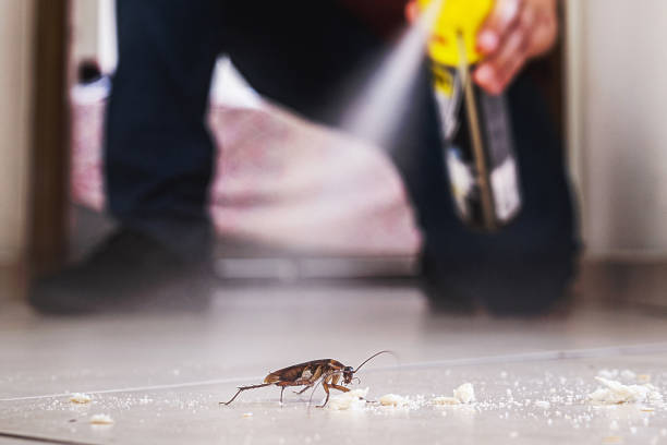 Best Pest Removal Services  in East Foothills, CA